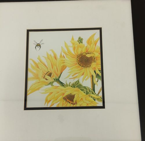 Carrie-Anne, Sunflowers.